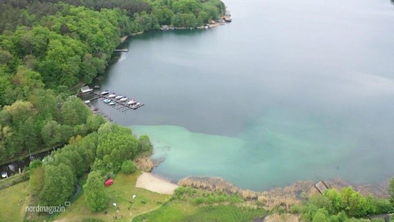 Auf dem Plauer See und einem Zufluss ist es bereits so früh im Jahr zur Bildung von Blaualgen gekommen. © NDR 