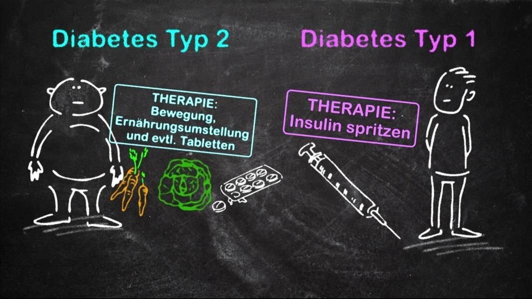 Diabetes Typ 1 Erkennen Und Behandeln | NDR.de - Fernsehen - Sendungen ...