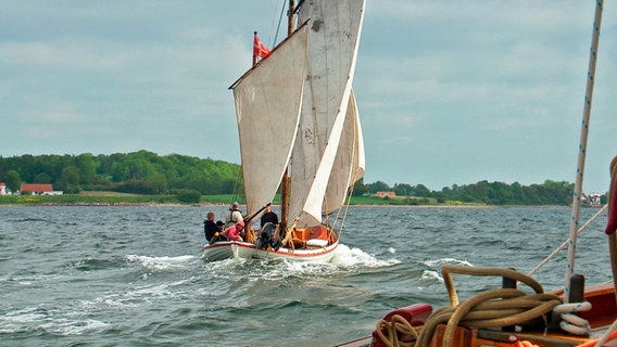 Traditionssegler auf der Rumregatta. © NDR/Manfred Schulz 