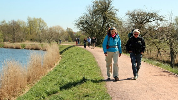 Ein schöner letzter Abschnitt Richtung Dom. Direkt am Wasser führt der Pilgerweg in Greifswald-Wieck entlang. © NDR/Annkathrin Bornholdt 