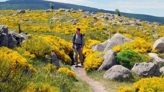 Der Stevensonweg in den Cevennen | NDR.de - Fernsehen - TV-Programm