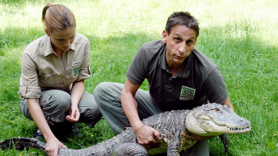 Tierpfleger Conny (Thorsten Wolf, r.) und Tierpflegerin Anett (Anna Bertheau, l.) machen sich Sorgen um Krokodil Konrad. © NDR/ARD/Christa Köfer 