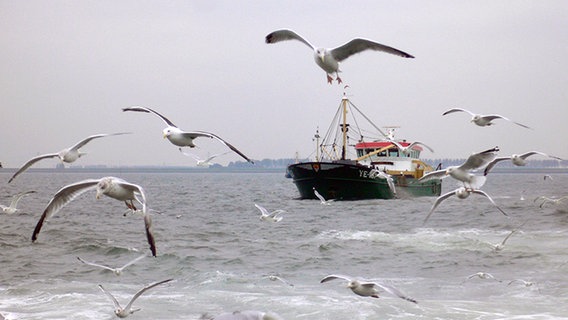 Muschelfischer auf dem Heimweg nach Yerseke. © NDR/Manfred Schulz TV & FilmProduktion 