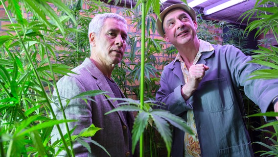 Zoodirektor Dr. Blum (Ralph Herforth, l.) entdeckt eine illegale Marihuana-Plantage im Zoo. Hausmeister Krüger (Karl Karliczek, r.) hat keine Ahnung, was er da für Pflanzen gegossen hat. © NDR/ARD/Steffen Junghans 