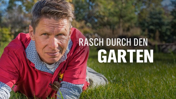 Garten-Profi Peter Rasch liegt bäuchlings auf dem Rasen. © NDR/Udo Tanske 