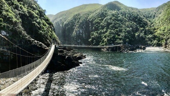 Blick auf die Suspension Bridge im Tsitsikamma National Park, die berühmteste Hängebrücke an der Garden Route. © NDR/HR/Wolfgang Müller 