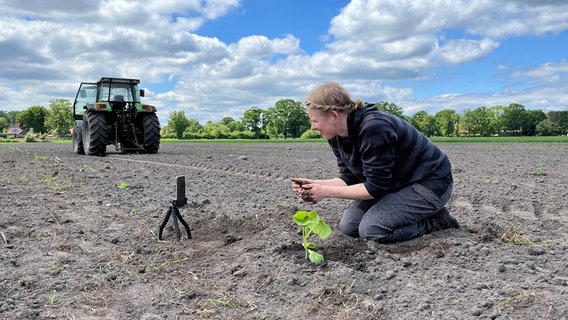 Mit dem Handy auf dem Acker. Gesa Ramme nimmt ihre Follower:innen bei ihrer Arbeit mit. © NDR/Nory Stoewer 