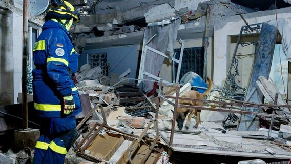 Wenn Trümmersuchhündin Qaskiya Überlebende wittert, zeigt sie die Position durch Bellen an. © NDR/Kinescope Film 
