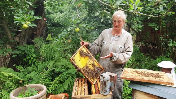 500 Kilo Honig pro Jahr produzieren Alke Zimmermanns Bienen auf dem "Fabelhof" in Worpswede. © NDR/Nadja Kölling 