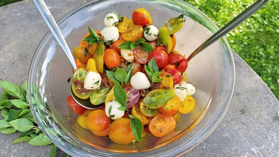 Salat aus alten Cocktailtomatensorten, tetrockneten Tomaten und Mozarella. © NDR/SR/Ute Werner 