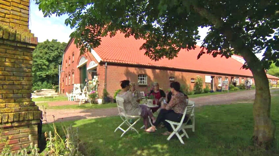 Historische Gulfhöfe in der Krummhörn NDR.de Fernsehen