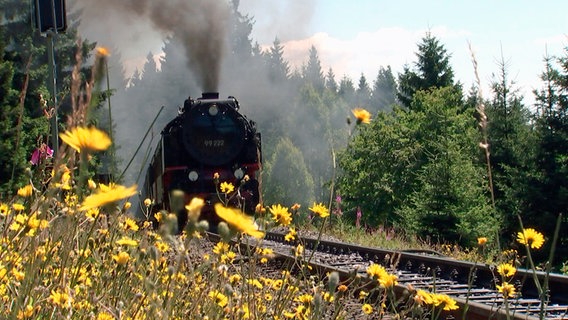 Die Brockenbahn führt knapp 20 Kilometer durch den Harz auf den Brocken. © HR 