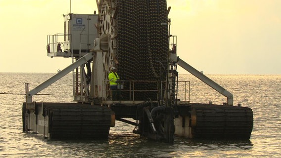 Raupenfahrzeug "Nessie V" steht im Watt. © NDR 