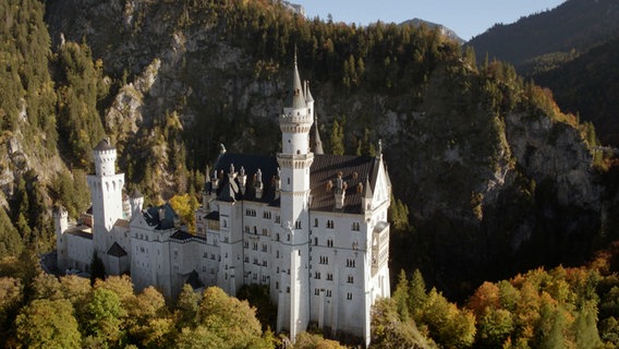 Das Schloss Neuschwanstein umgeben von Bäumen. © MDR/NDR 