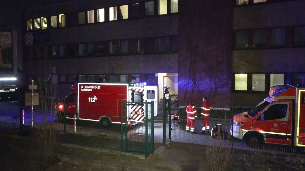 Fatal Stabbing Incident in Hamburg: Man Killed in Violent Confrontation at Saale Harbor