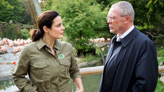 Die Lage ist ernst - der Leipziger Zoo steht ohne Direktor da und OB Herrenbrück (Frank Sieckel, r.) bittet Tierärztin Dr. Mertens (Elisabeth Lanz, l.) um Unterstützung. Wird sie die Zoodirektion übernehmen? © ARD/Steffen Junghans Foto: Steffen Junghans