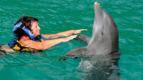 Reiseleiterin Elke mit einem Delphin auf Tortola. © BR/Bewegte Zeiten GmbH/Sybille Nies 