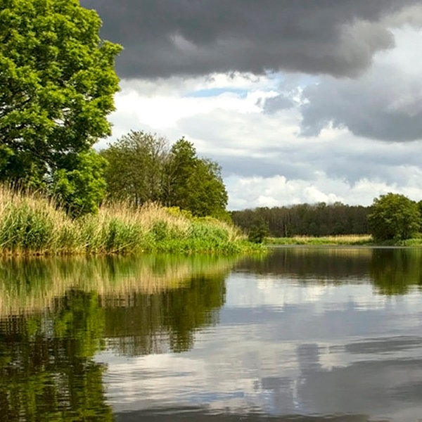 Peene So Naturlich Kann Ein Fluss Sein Ndr De Ratgeber Reise Vorpommern