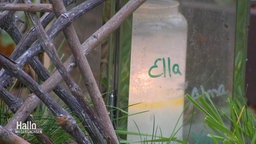 Auf einem Grablicht steht der Name eines Sternenkindes geschrieben: Ella.