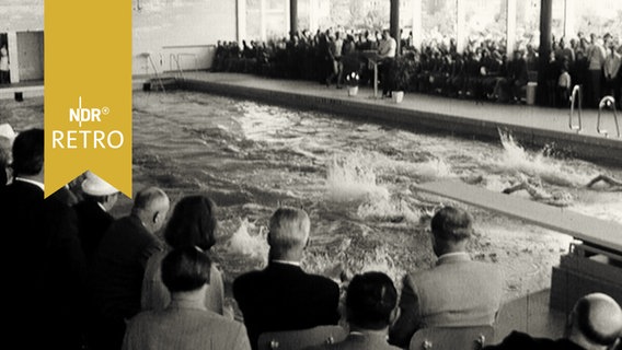 Schwimmer in einem Becken bei einem Schauwettkampf zur Eröffnung einer Schwimmhalle in Lübeck 1965  