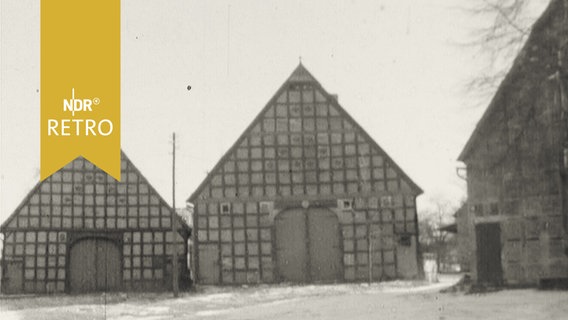 Drei Häuser im Kern eines wendischen Rundlingsdorfes (1965)  