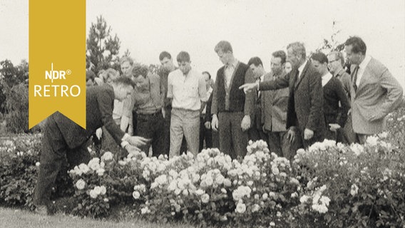 Gruppe beim Betrachten eines Beetes in der gartenbaulichen Lehranstalt (1965)  