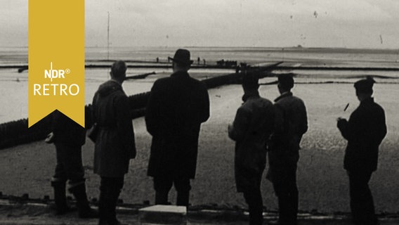 Mehrere Männer begutachten den Hauke-Haien-Koog zur Landgewinnung in Nordfriesland (1964)  