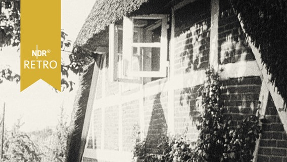Traditionelles Haus in Finkenwerder (1964)  