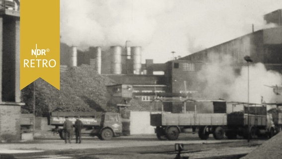 Trecker mit Hängern stehen vor der Anlieferung an einer dampfenden Zuckerfabrik (1964)  