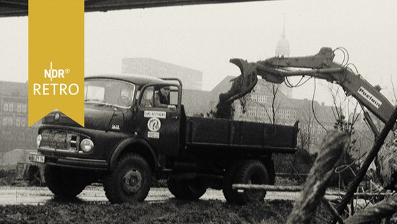 Bagger lädt in den Wallanlagen Erde in einen LKW (1964), im Hintergrund ein Hamburger Gerichtsgebäude  