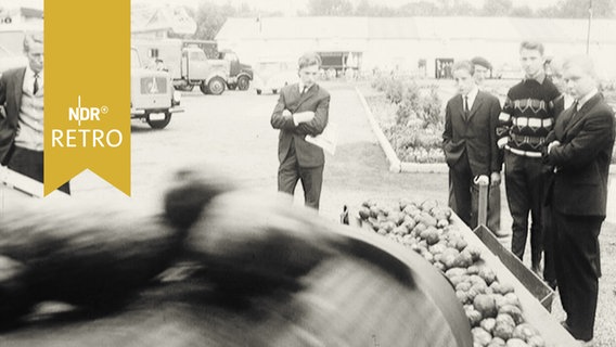 Mehrere junge Männer begutachten die Arbeit einer Kartoffelsortiermaschine 1964 auf einer Handwerksmesse  