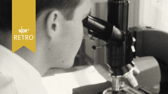 Laborant blickt in ein Mikroskop (1964)  