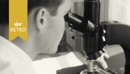 Laborant blickt in ein Mikroskop (1964)  