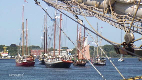 Sailing ships in the port of Rostock  