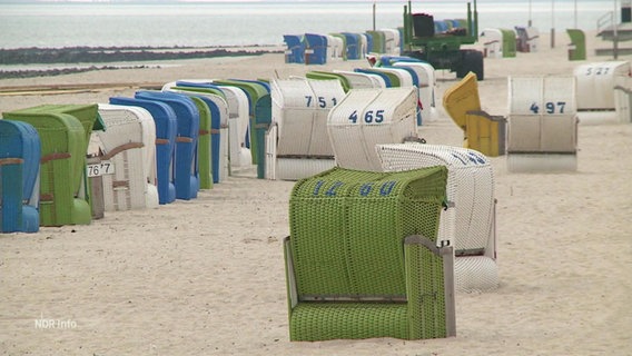 Strandkörbe stehen an einem Strandabschnitt. 