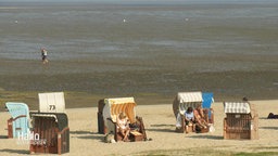 Strandkörbe an der Küste Niedersachsens.