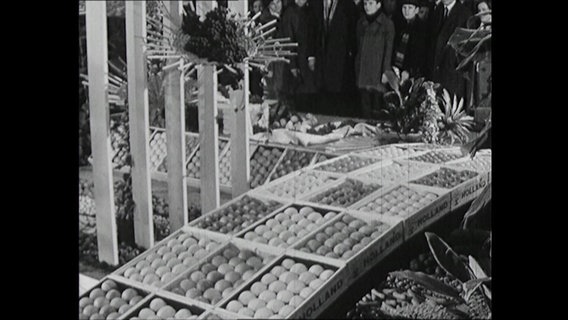 Paletten mit Obst auf der Grünen Woche in Berlin 1964  