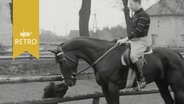Military-Reiter Horst Kasten auf seinem Pferd, das ein Pony oder Fohlen mit der Schnauze begrüßt (1965)  