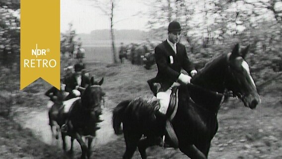 Reiter müssen beim Geländeritt durch einen Graben im Wald (1963)  