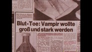 Bild-Zeitungssauschnitt  