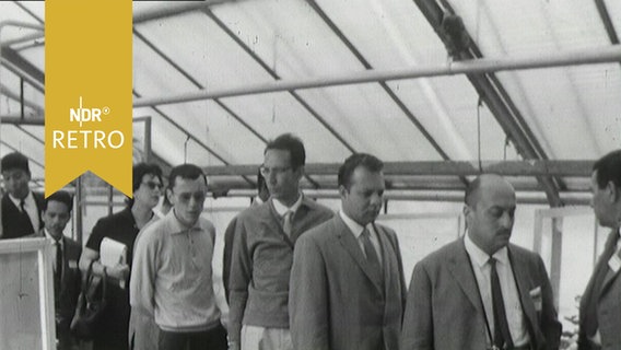 Delegation in einem Gewächshaus der Landwirtschaftlichen Versuchsanstalt Braunschweig (1963)  