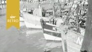 Buge der Fischerboote im Hafen von Cuxhaven 1964  