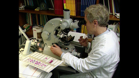 Ein Arzt untersucht eine Gewebeprobe mit Hilfe eines Mikroskops  