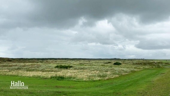 Ein Ausblick auf die Insel Langeoog.  