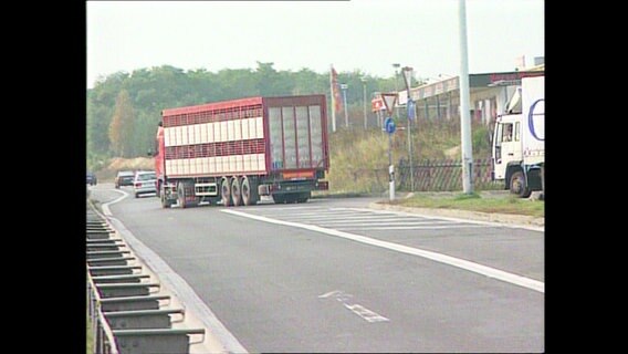 Ein Pferdetransporter auf der Autobahn  