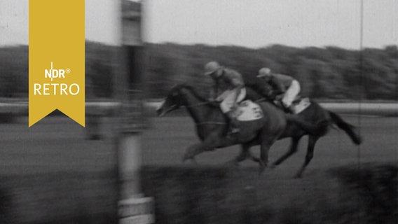 Zwei Galoppreiter beim Zieleinlauf im Rennen von Hannover 1963  