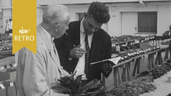 Ein älterer Zigarenraucher lässt sich auf der Bremer Tabakbörse 1964 die Tabaksorten erklären  