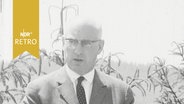 SPD-Politiker Fritz Erler bei einer Rede 1964  