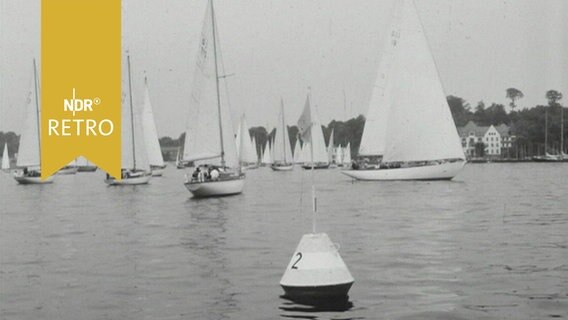 Segelschiffe vor der Regatta um den Hamburger Senatspreis auf der Elbe (1964)  