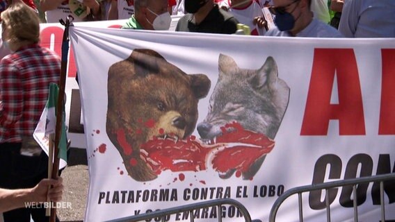 Spanische Wolfsgegner zeigen ein Banner auf einer Demonstration.  